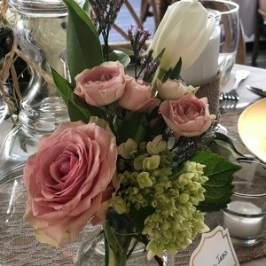 Meet your Posher, Tara